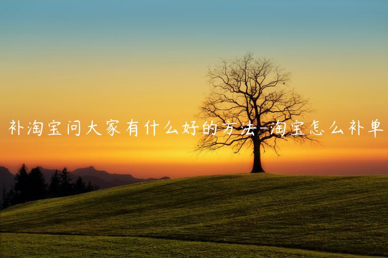 補(bǔ)淘寶問大家有什么好的方法-淘寶怎么補(bǔ)單